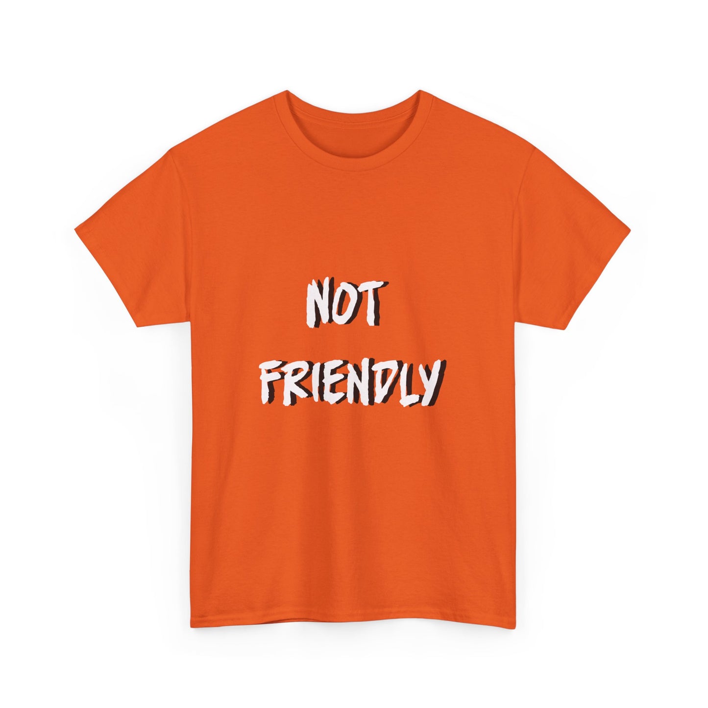 Not Friendly Sarcastic Tee Shirt