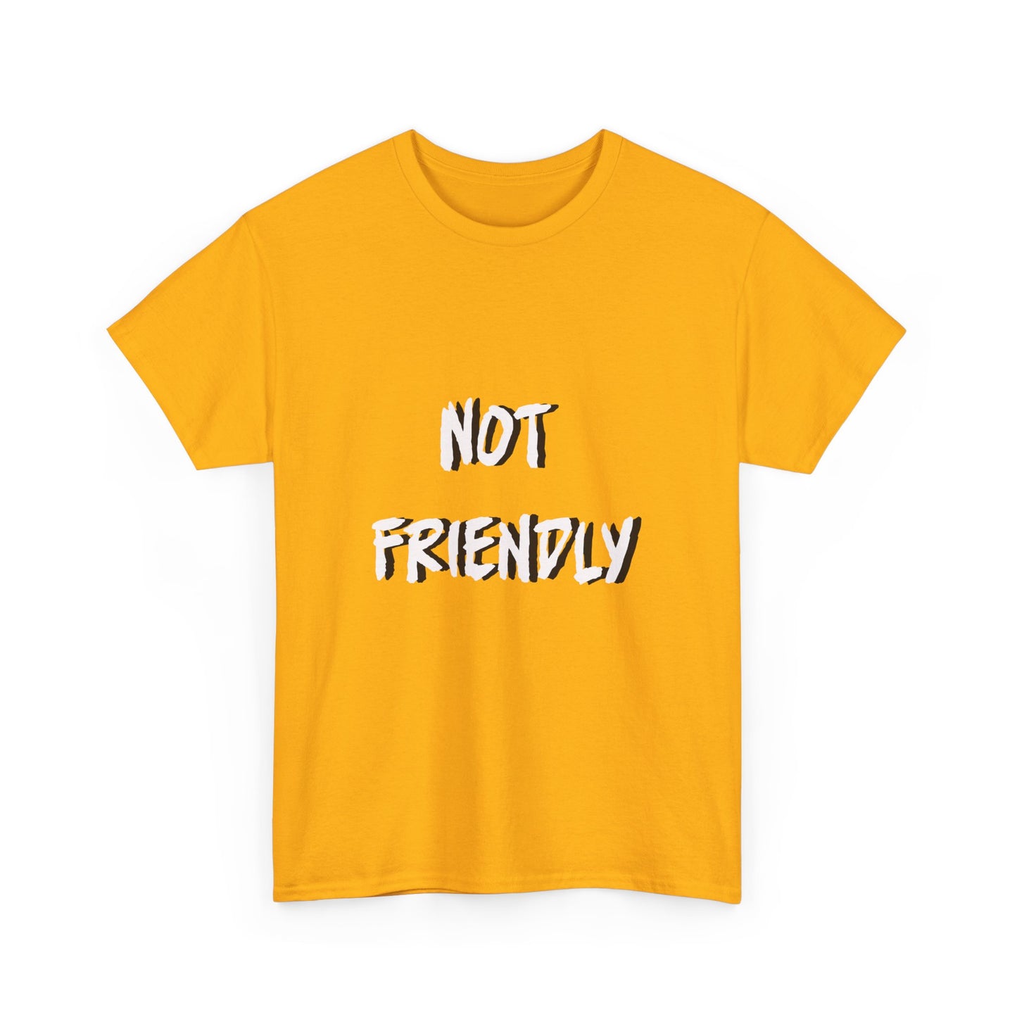 Not Friendly Sarcastic Tee Shirt