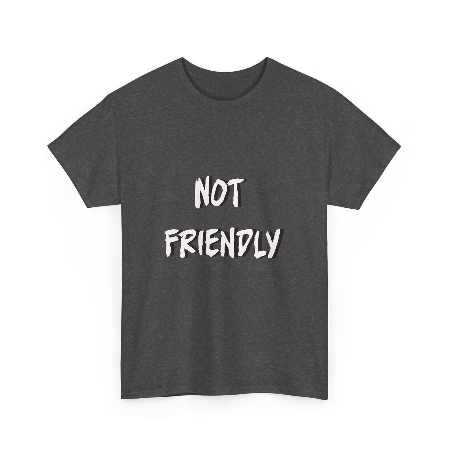 Not Friendly Sarcastic Tee Shirt