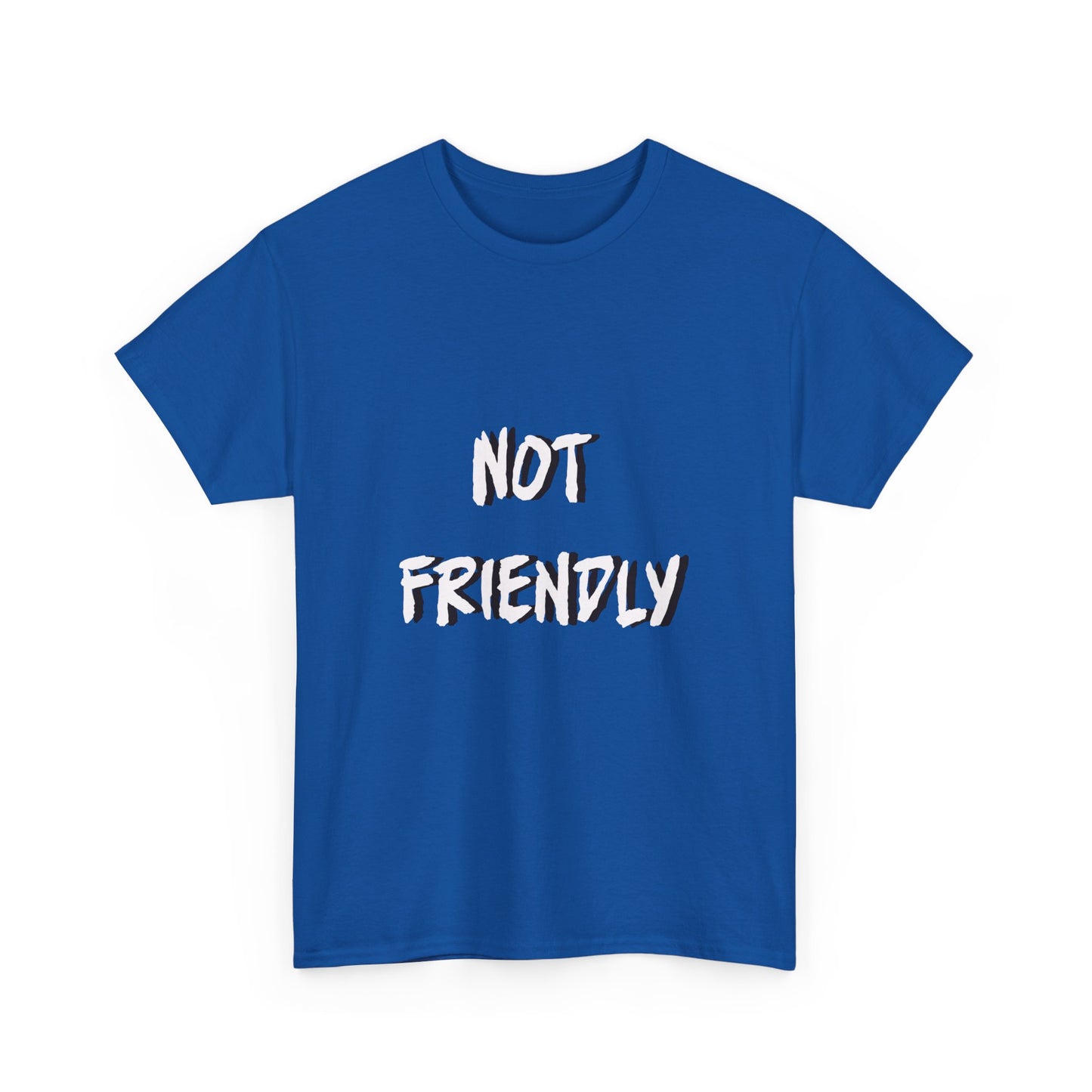 Not Friendly Sarcastic Tee Shirt
