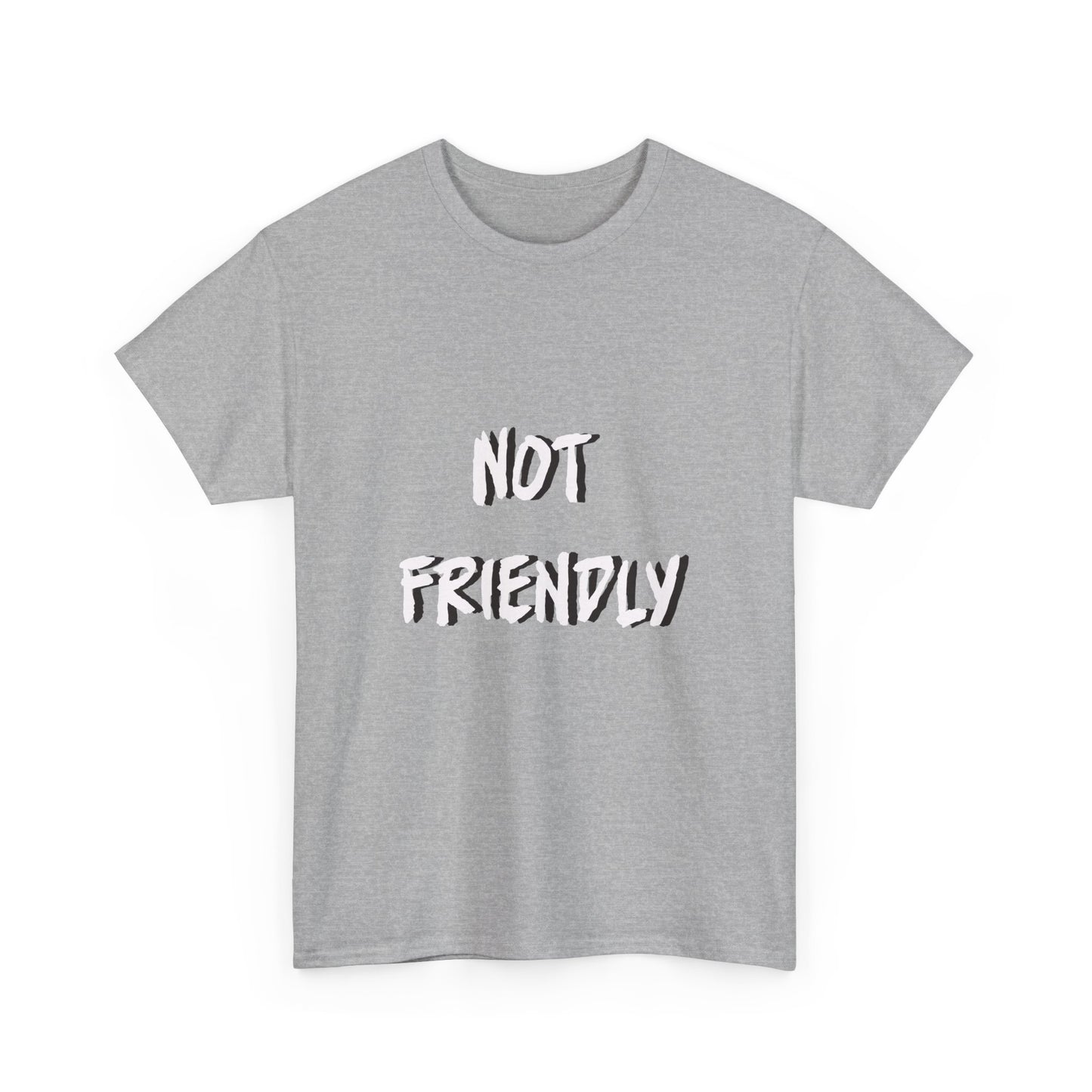 Not Friendly Sarcastic Tee Shirt