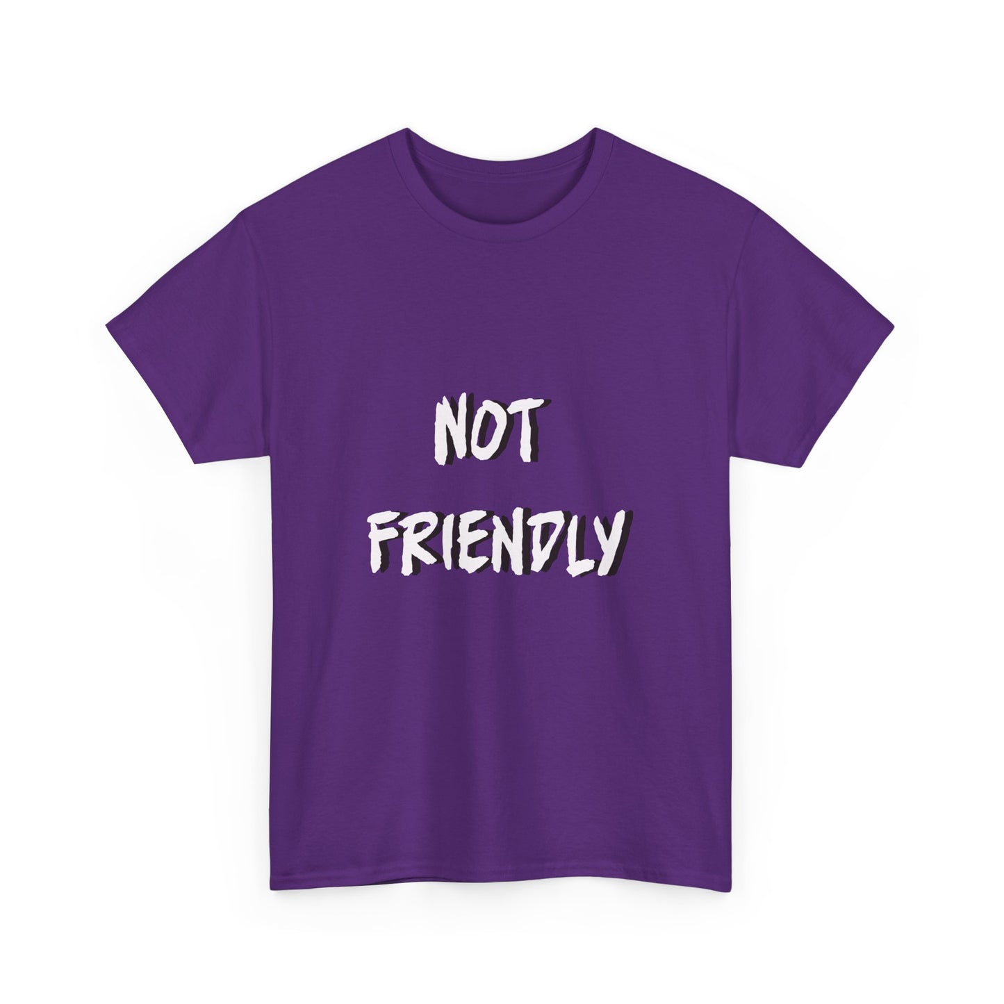 Not Friendly Sarcastic Tee Shirt