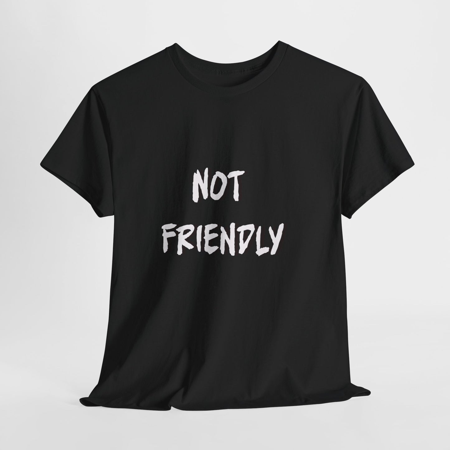 Not Friendly Sarcastic Tee Shirt