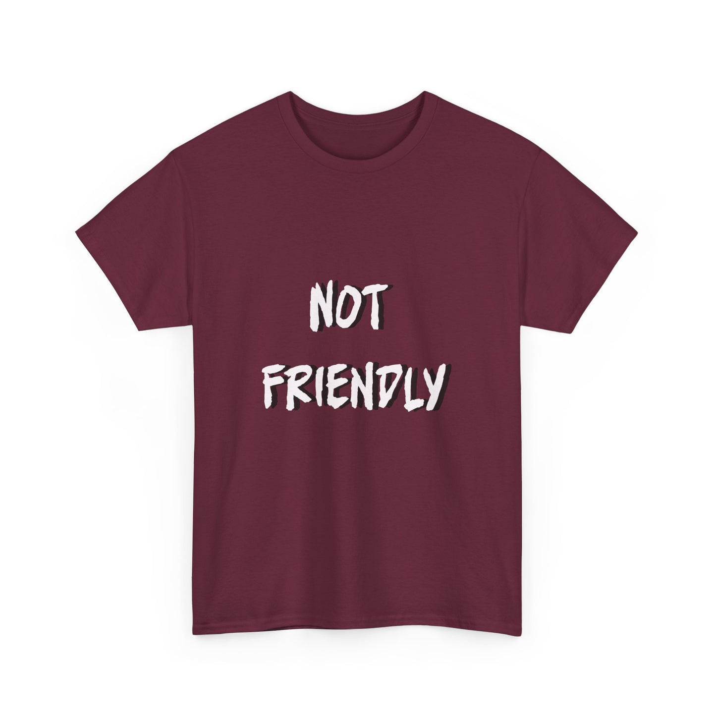 Not Friendly Sarcastic Tee Shirt