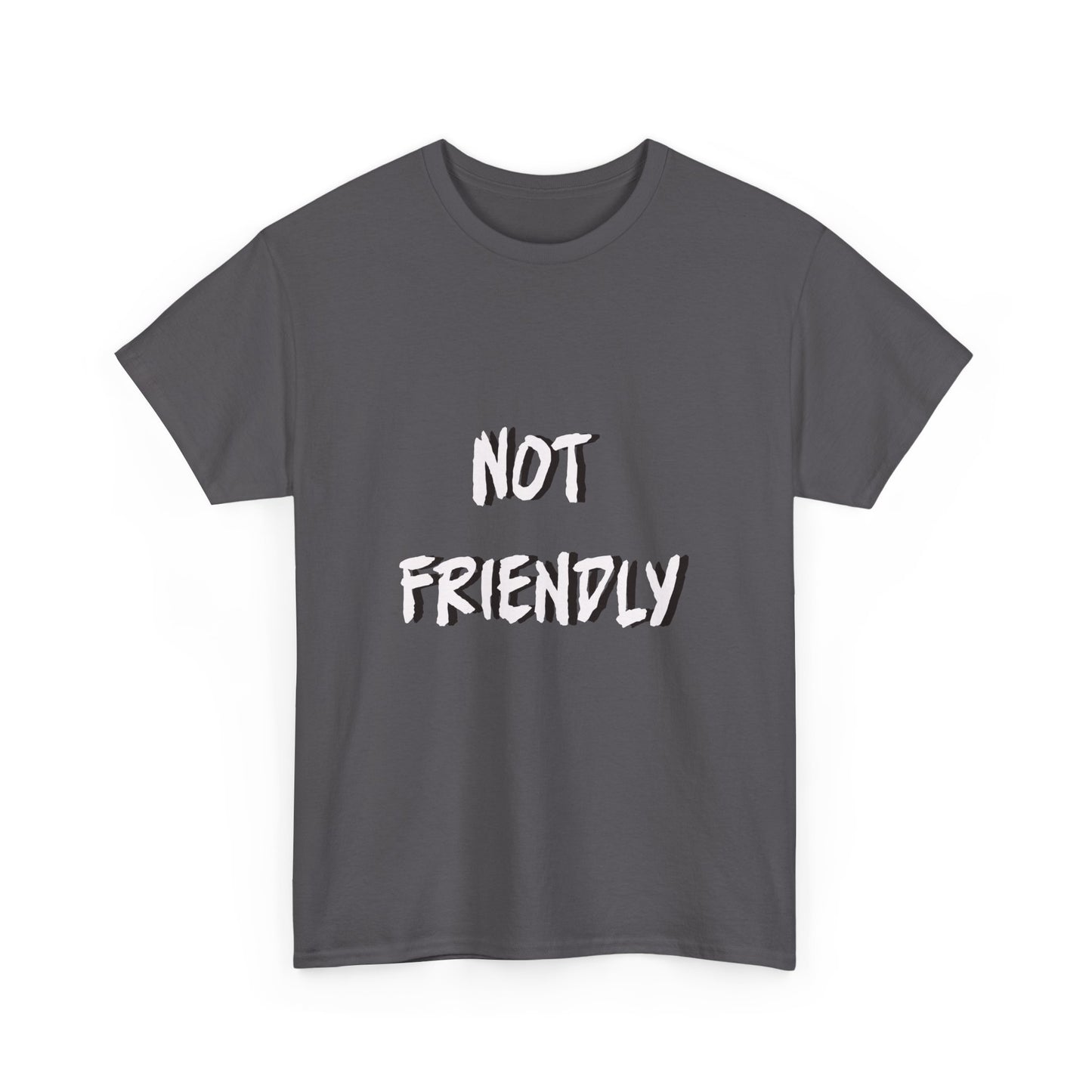 Not Friendly Sarcastic Tee Shirt