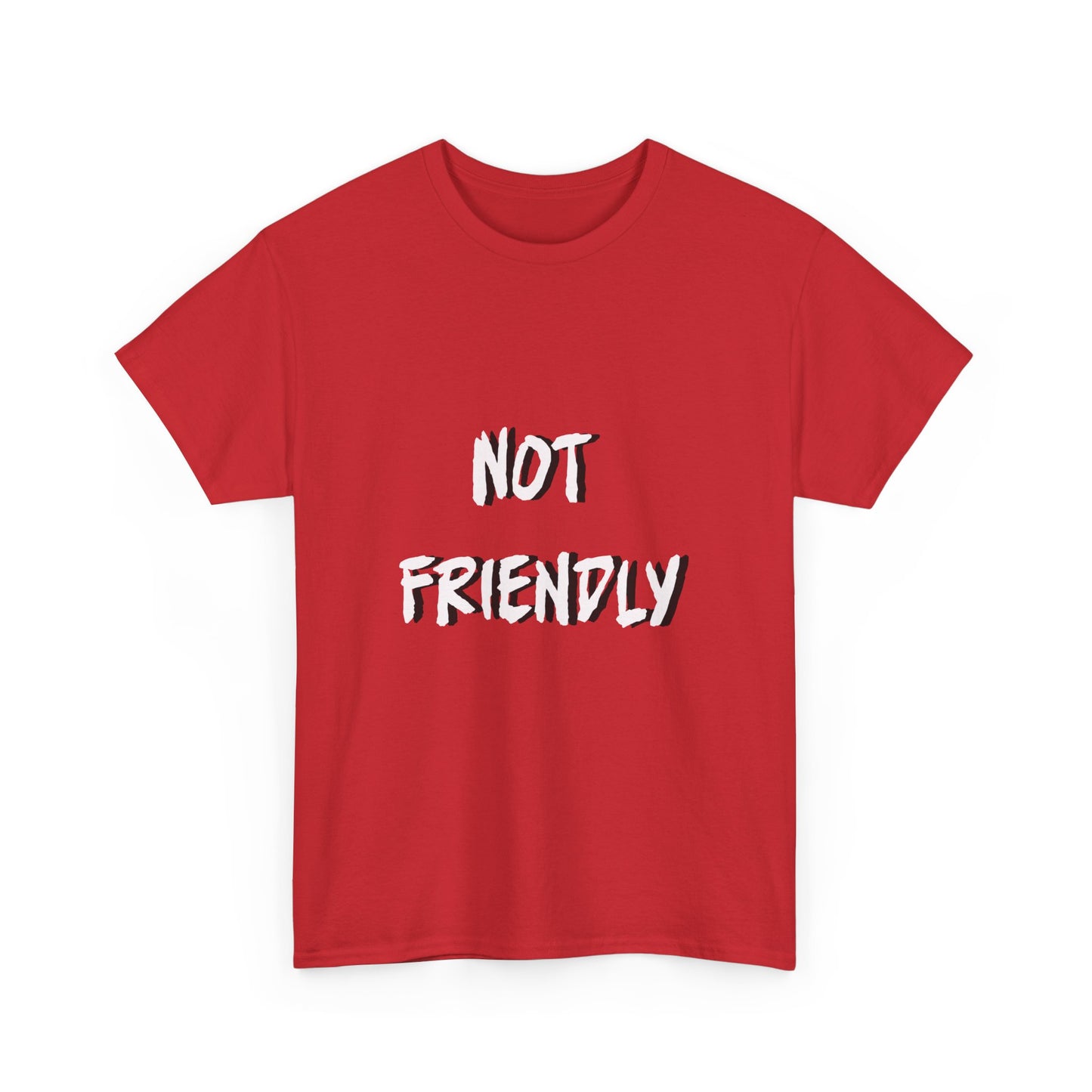 Not Friendly Sarcastic Tee Shirt