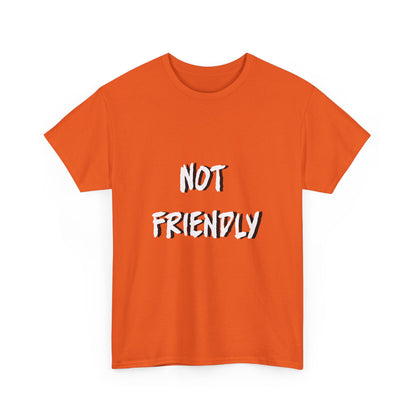 Not Friendly Sarcastic Tee Shirt
