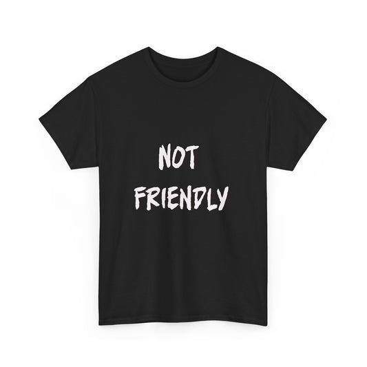 Not Friendly Sarcastic Tee Shirt