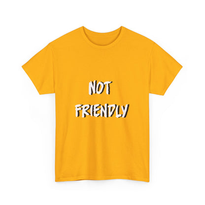 Not Friendly Sarcastic Tee Shirt