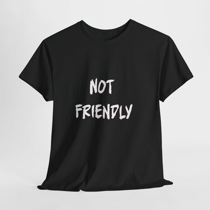 Not Friendly Sarcastic Tee Shirt