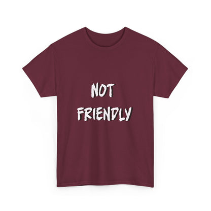 Not Friendly Sarcastic Tee Shirt